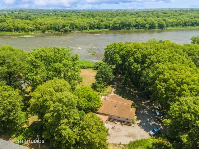 29625 N Readman Ln, Wilmington, IL 60481 - bird's eye view of a heavily wooded area and a large body of water
