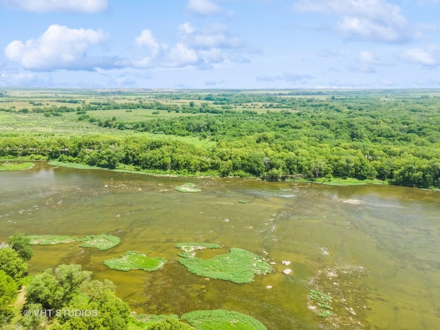 29625 N Readman Ln, Wilmington, IL 60481 - drone / aerial view of a heavily wooded area and a large body of water