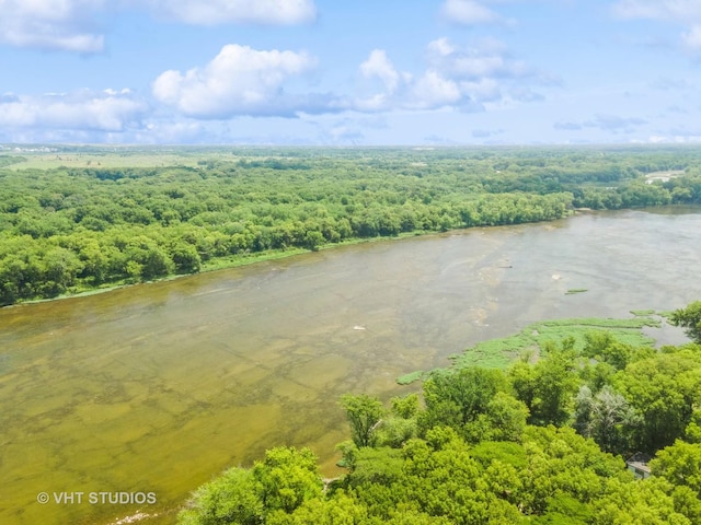 29625 N Readman Ln, Wilmington, IL 60481 - drone / aerial view of a forest and a large body of water