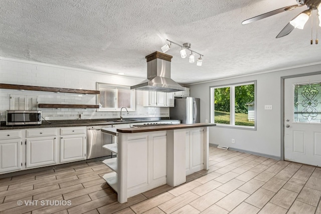 29625 N Readman Ln, Wilmington, IL 60481 - kitchen featuring stainless steel appliances, open shelves, island exhaust hood, white cabinets, and tasteful backsplash