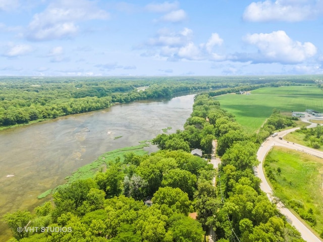 29625 N Readman Ln, Wilmington, IL 60481 - bird's eye view of a nearby body of water and a forest