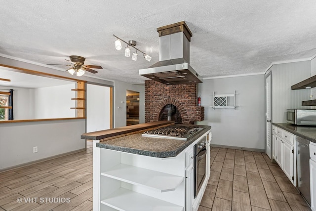 29625 N Readman Ln, Wilmington, IL 60481 - kitchen featuring stainless steel appliances, range hood, open shelves, dark countertops, and light wood-style flooring