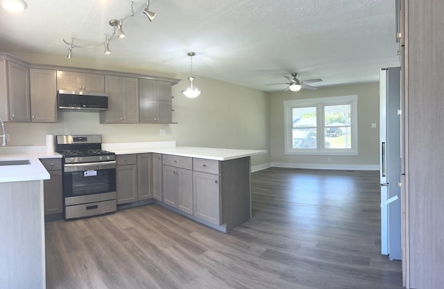 230 Northridge Ave, Bolingbrook, IL 60440 - kitchen with stainless steel appliances, gray cabinets, a peninsula, a ceiling fan, and wood finished floors