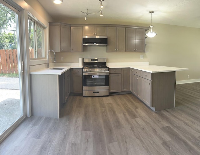 230 Northridge Ave, Bolingbrook, IL 60440 - kitchen featuring stainless steel appliances, a peninsula, gray cabinets, and wood finished floors