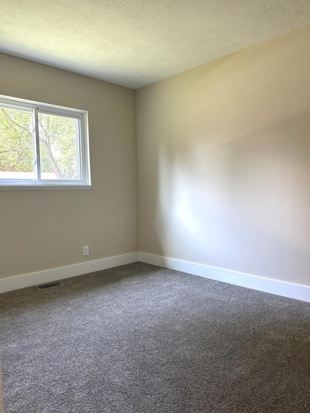 230 Northridge Ave, Bolingbrook, IL 60440 - carpeted spare room with baseboards and a textured ceiling