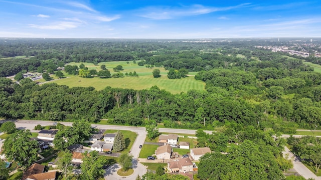 16052 Debra Dr, Oak Forest, IL 60452 - photo 49