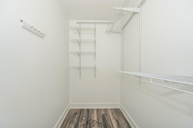 18100 Rita Rd Unit 3B, Tinley Park, IL 60477 - spacious closet with wood finished floors