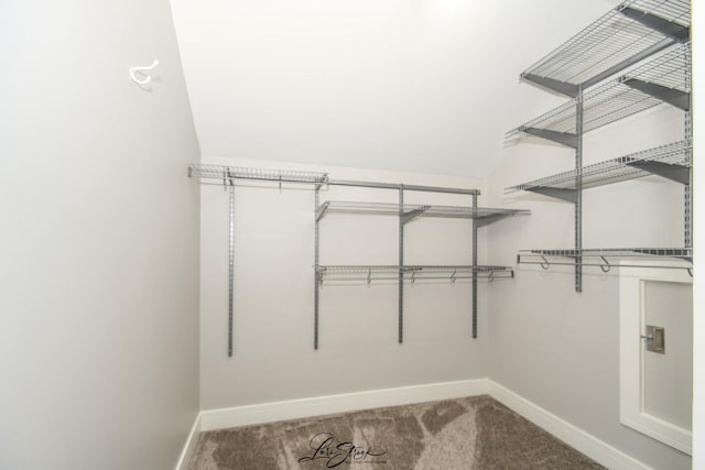 18100 Rita Rd Unit 3B, Tinley Park, IL 60477 - walk in closet featuring carpet flooring and vaulted ceiling