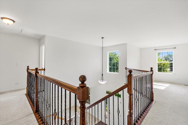 182 Regal Dr, Crystal Lake, IL 60014 - photo 22