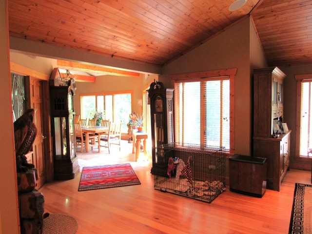 24099 W Haidi Ln, Lake Villa, IL 60046 - living area featuring plenty of natural light, light wood-style floors, vaulted ceiling, and wooden ceiling