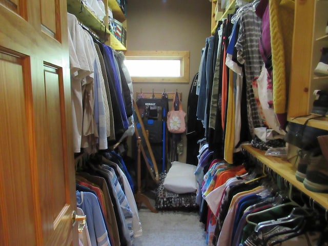 24099 W Haidi Ln, Lake Villa, IL 60046 - spacious closet with carpet