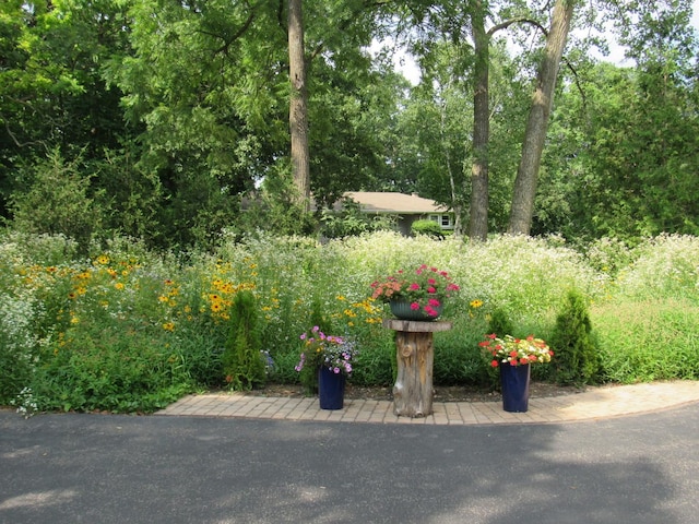 24099 W Haidi Ln, Lake Villa, IL 60046 - view of yard