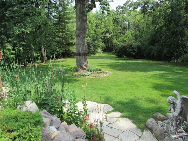 24099 W Haidi Ln, Lake Villa, IL 60046 - view of green lawn
