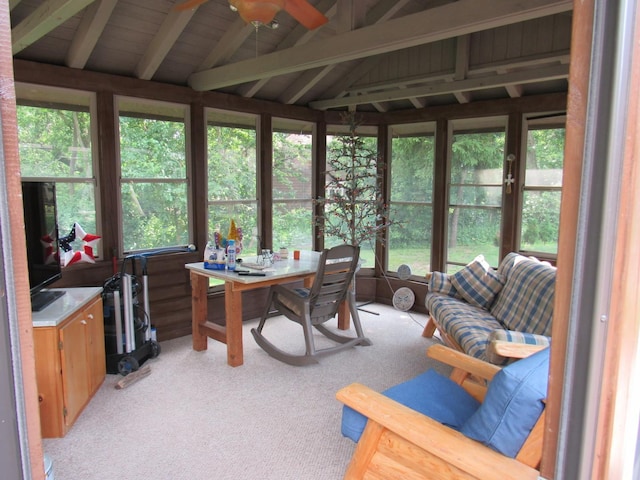 24099 W Haidi Ln, Lake Villa, IL 60046 - sunroom / solarium with carpet flooring and plenty of natural light