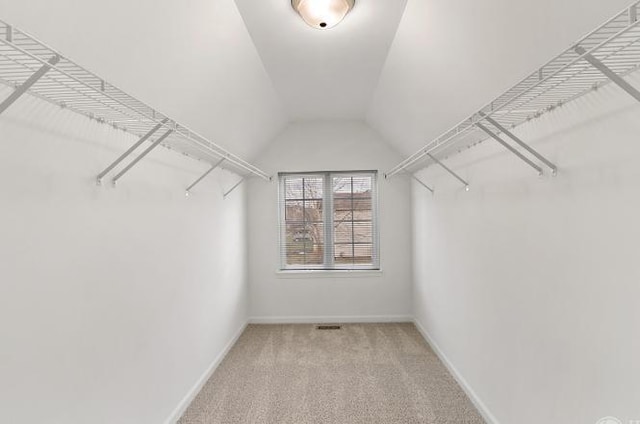 533 Jackson Blvd, Grayslake, IL 60030 - walk in closet featuring light colored carpet and lofted ceiling