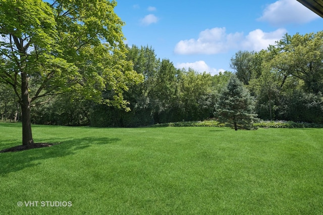 45 Ravenscraig Ln, Inverness, IL 60067 - photo 52