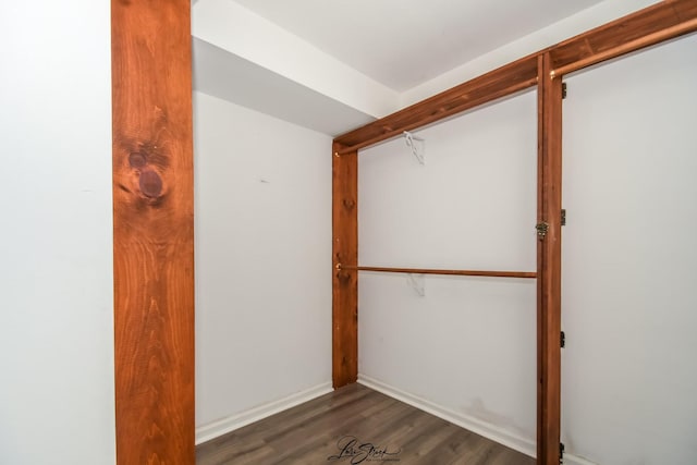 7000 Remington Ct Unit 102, Woodridge, IL 60517 - walk in closet with dark wood finished floors