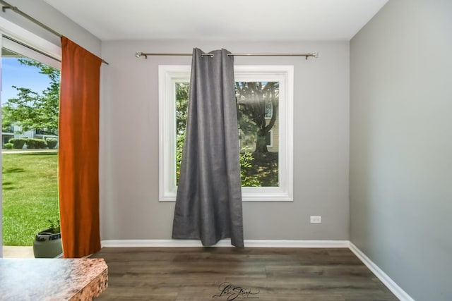 7000 Remington Ct Unit 102, Woodridge, IL 60517 - spare room with healthy amount of natural light and dark wood-type flooring