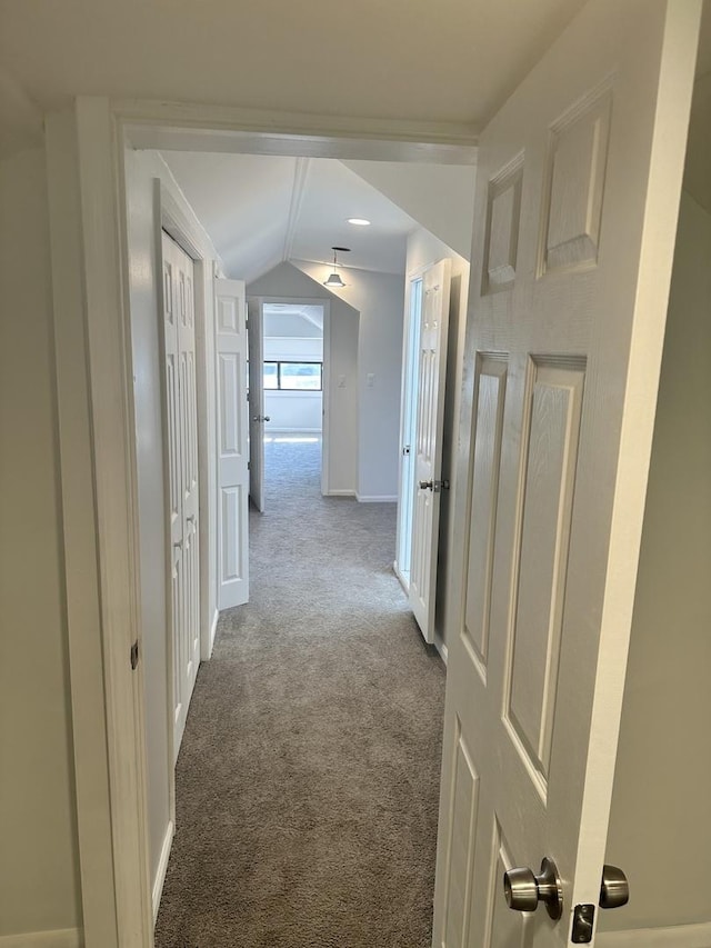 8014 S Bishop St, Chicago, IL 60620 - hall featuring carpet floors and lofted ceiling