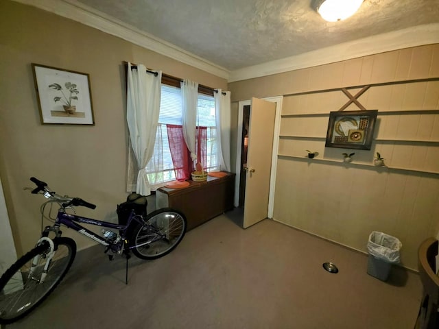 806 S Oak Ave, Freeport, IL 61032 - photo 14