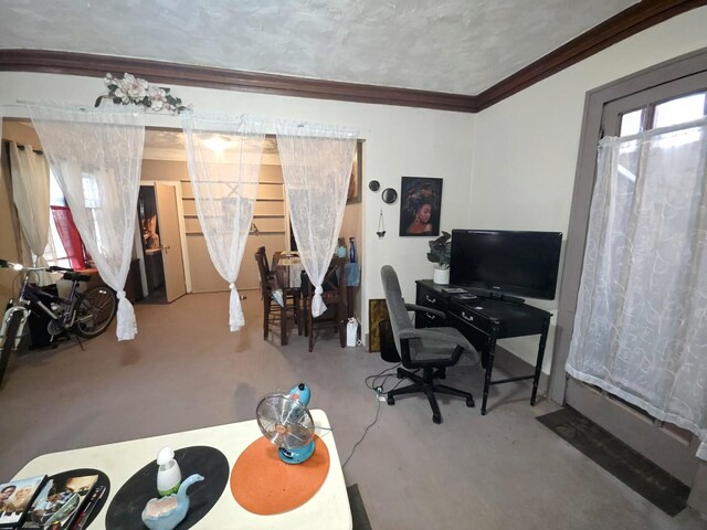 806 S Oak Ave, Freeport, IL 61032 - photo 9