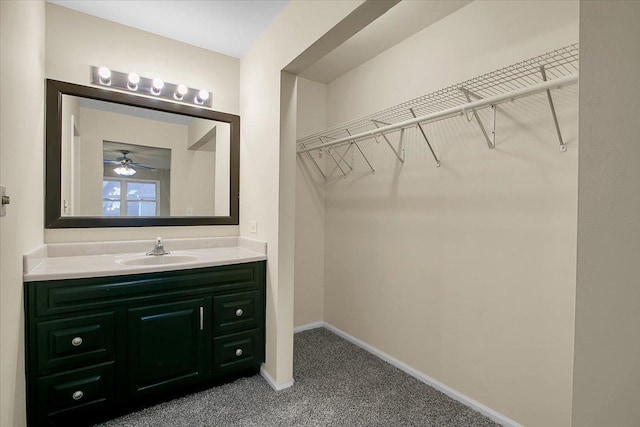 1921 Wisteria Ct Unit 3, Naperville, IL 60565 - spacious closet featuring a sink and carpet flooring