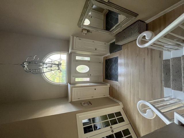 12534 Lily Ln, Plainfield, IL 60585 - kitchen featuring wood walls and white cabinetry