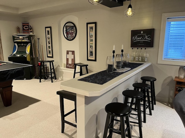 12534 Lily Ln, Plainfield, IL 60585 - indoor dry bar featuring carpet