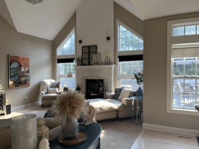 12534 Lily Ln, Plainfield, IL 60585 - living area featuring vaulted ceiling, a glass covered fireplace, and wood finished floors