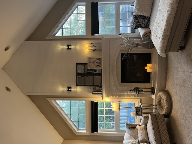 12534 Lily Ln, Plainfield, IL 60585 - view of living area