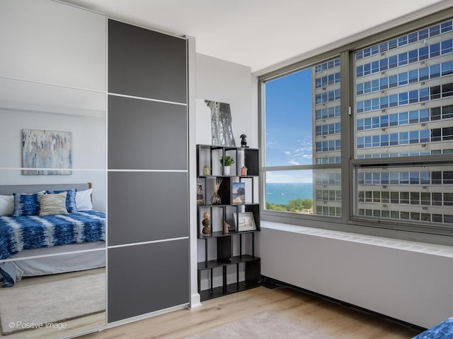 3550 N Lake Shore Dr Unit 1921, Chicago, IL 60657 - bedroom featuring wood finished floors