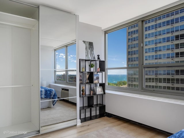 3550 N Lake Shore Dr Unit 1921, Chicago, IL 60657 - bedroom with multiple windows and wood finished floors