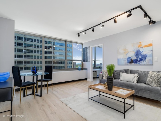 3550 N Lake Shore Dr Unit 1921, Chicago, IL 60657 - living room featuring rail lighting and wood finished floors