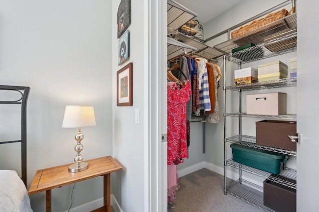 360 W Erie St Unit 3A, Chicago, IL 60654 - walk in closet with carpet flooring