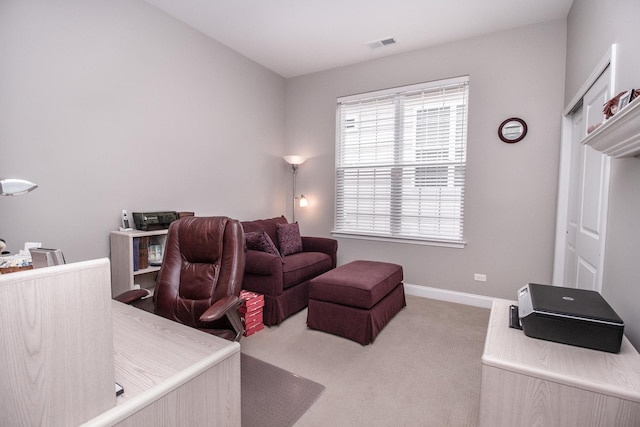 3907 Eagle Ridge Dr, Elgin, IL 60124 - photo 19