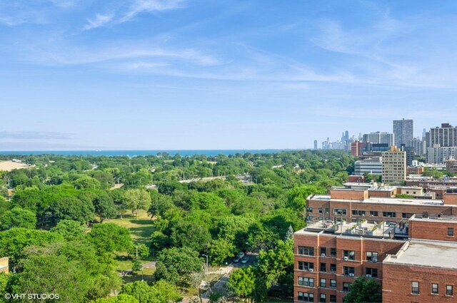 4960 N Marine Dr Unit 519, Chicago, IL 60640 - view of urban area