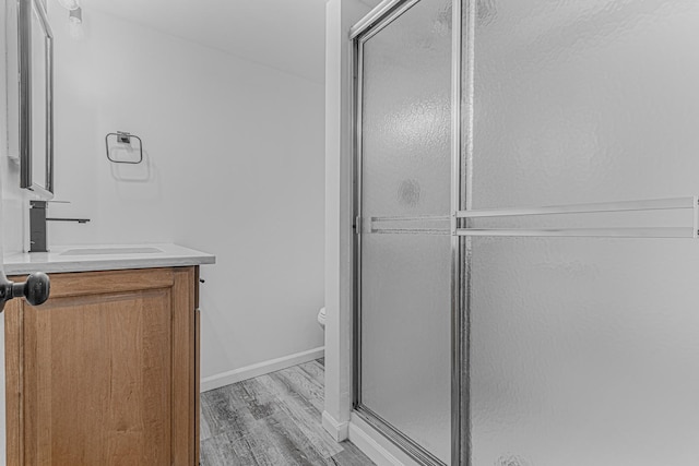 922 E Pratt Dr, Palatine, IL 60074 - bathroom with wood finished floors, vanity, and a shower stall