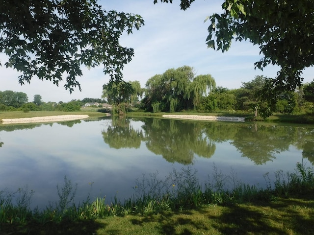 11248 Melrose Ct, Orland Park, IL 60467 - water view