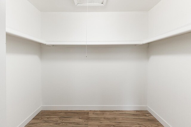 407 James Ct Unit D, Glendale Heights, IL 60139 - walk in closet with attic access and wood finished floors