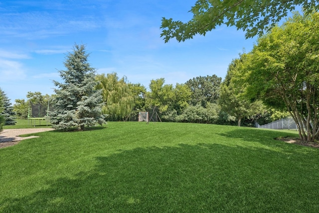6072 Westminster Ln, Gurnee, IL 60031 - view of yard
