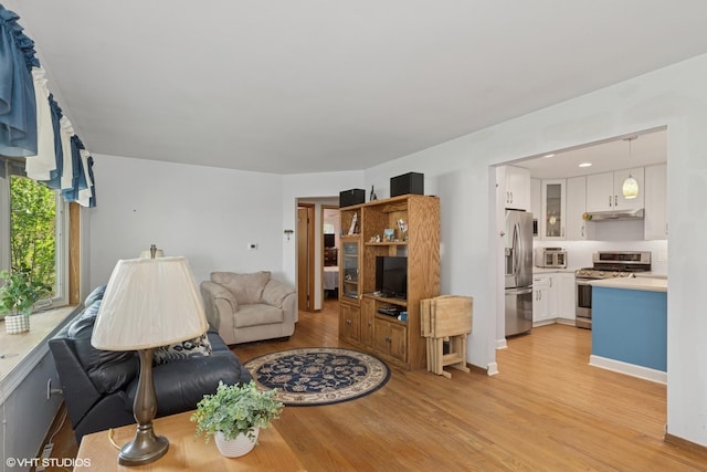 3513 Woodland Cir, Island Lake, IL 60042 - living area featuring light wood-type flooring