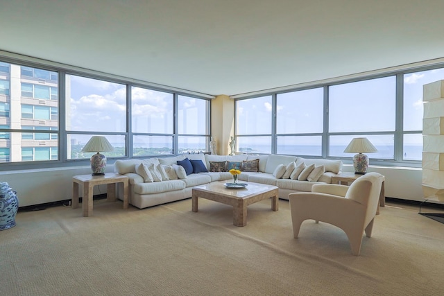 3550 N Lake Shore Dr Unit 2616, Chicago, IL 60657 - living room featuring light carpet