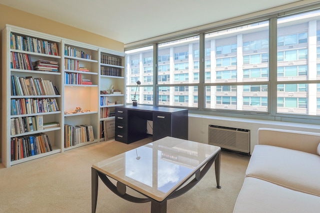 3550 N Lake Shore Dr Unit 2616, Chicago, IL 60657 - sitting room featuring carpet and a wall mounted AC