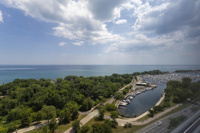 3550 N Lake Shore Dr Unit 2616, Chicago, IL 60657 - drone / aerial view of a large body of water and numerous boat docks