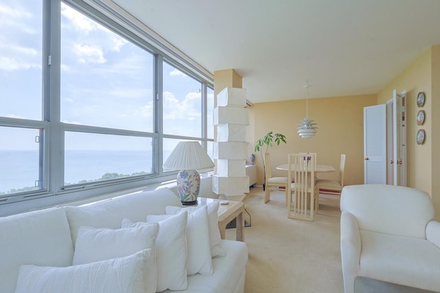 3550 N Lake Shore Dr Unit 2616, Chicago, IL 60657 - living area featuring plenty of natural light, light carpet, and a water view