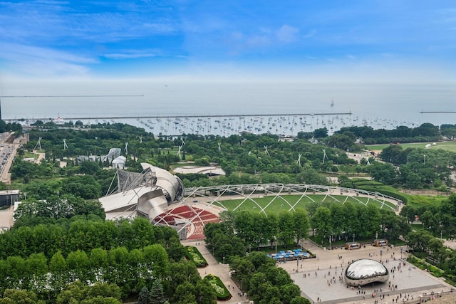 130 N Garland Ct Unit 1608, Chicago, IL 60602 - aerial view of a nearby body of water and a tree filled landscape