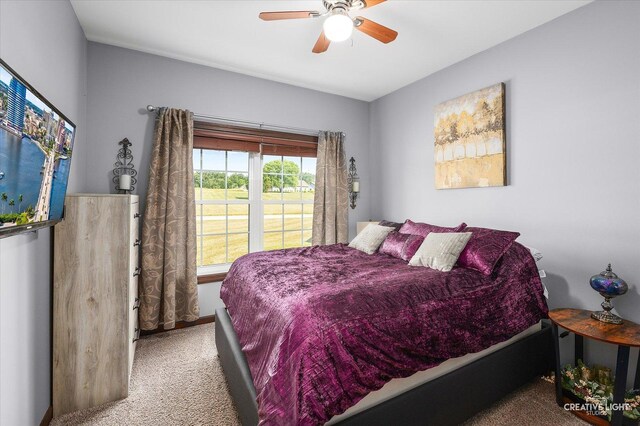 117 Belle Rive Dr, Millington, IL 60537 - photo 24