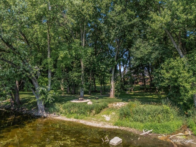 117 Belle Rive Dr, Millington, IL 60537 - photo 41