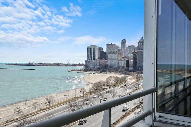 1300 N Lake Shore Dr Unit 10B, Chicago, IL 60610 - water view with city skyline