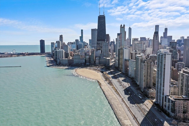 1300 N Lake Shore Dr Unit 10B, Chicago, IL 60610 - skyline view with a large body of water